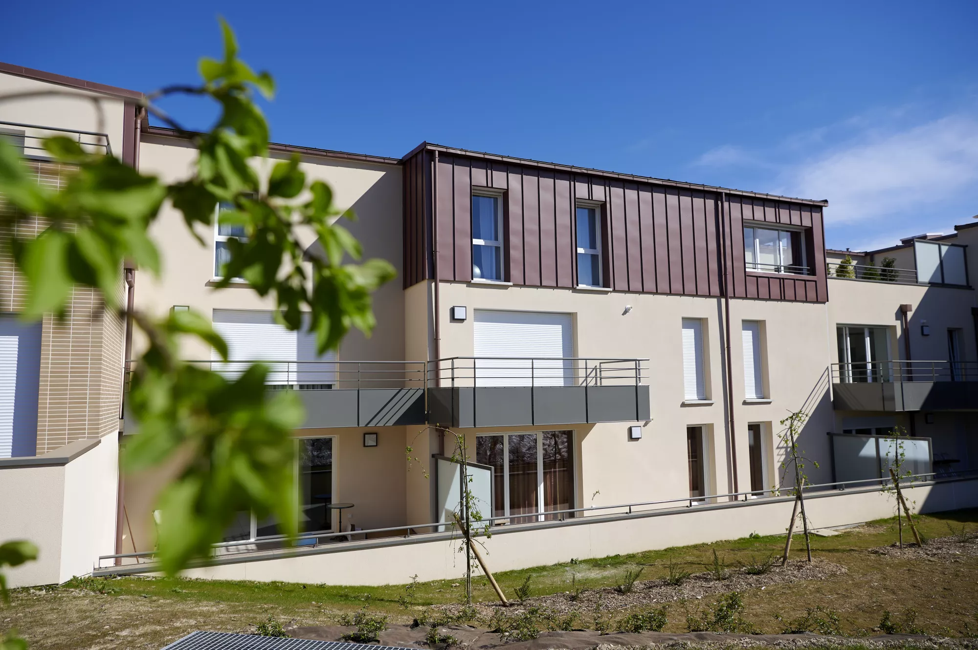 Terra Flora - Plurial Immo' Reims
                          X BDL Architectes
                                         